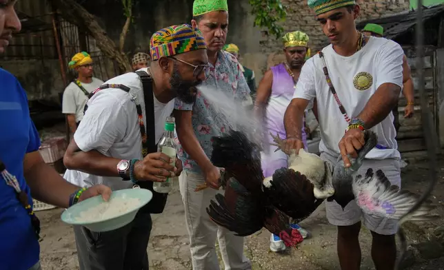 Santeria priests, also known as Babalawos, perform a cleansing ritual with roosters during a ceremony calling for peace and health in Havana, Sunday, Jan. 25, 2026. (AP Photo/Ramon Espinosa)