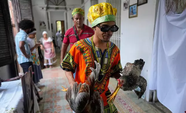 Santeria priests, also known as Babalawos, perform a cleansing ritual with roosters during a ceremony calling for peace and health in Havana, Sunday, Jan. 25, 2026. (AP Photo/Ramon Espinosa)