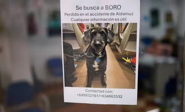 A sign is pictured reading in Spanish, "Missing Boro. Lost during the Adamuz accident. Any information is helpful," about a dog that went missing during a train crash in Adamuz, southern Spain, Wednesday, Jan. 21, 2026. (AP Photo/Manu Fernandez)