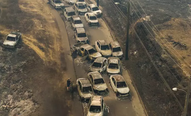 Damaged vehicles line a road after wildfires swept through residential areas in Lirquen, Chile, Sunday, Jan. 18, 2026. (AP Photo/Javier Torres)