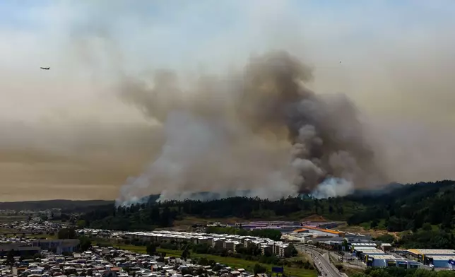 Smoke rises as wildfires burn in forested areas near Concepcion, Chile, Sunday, Jan. 18, 2026. (AP Photo/Javier Torres)