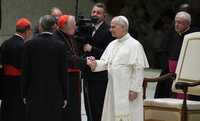 Pope Leo XIV meets Cardinals and Bishops at the end of his weekly general audience in the Paul VI Hall at the Vatican, Wednesday, Jan. 7, 2026. (AP Photo/Alessandra Tarantino)