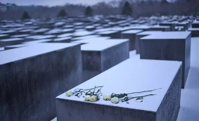 White roses placed on a concrete slab of the Holocaust memorial to mark the International Holocaust Memorial Day in Berlin, Germany, Tuesday, Jan. 27, 2026. (AP Photo/Markus Schreiber)