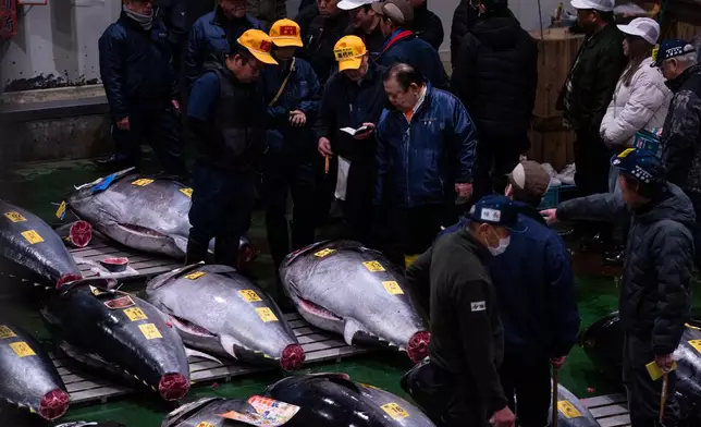Kiyoshi Kimura, center right, president of Kiyomura Co. attend the New Year's tuna auction at Toyosu fish market in Tokyo, Monday, Jan. 5, 2026. (AP Photo/Louise Delmotte)