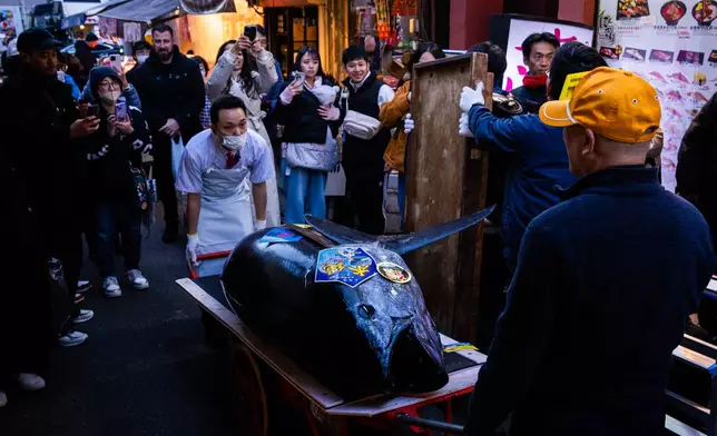 A bluefin tuna that won the highest bid at the annual New Year auction is carried to a Sushi Zanmai restaurant in Tokyo, Monday, Jan. 5, 2026. (AP Photo/Louise Delmotte)