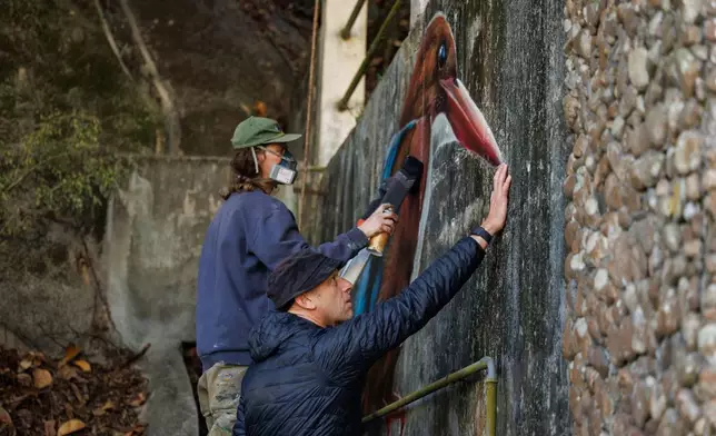 Dominic Johnson-Hill looks at a white-throated kingfisher mural being painted by Rob Aspire near Wang Tong village, Lantau, Hong Kong, Jan. 27, 2025. (AP Photo/May James)
