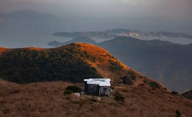 A long-tailed shrike mural is seen painted on the rooftop of a stone house on Sunset Peak, Lantau, Hong Kong, Jan. 25, 2025. (AP Photo/May James)