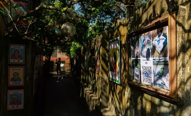 A person takes photo of art works at Wang Tong Art Walk, where the first bird mural from the Flock Project begins, in Lantau, Hong Kong, Nov. 16, 2025. (AP Photo/May James)