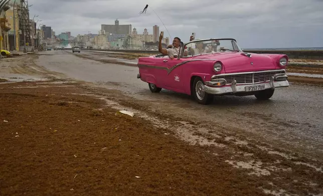 Tourists travel in a classic American car along the Malecon littered with sargassum seaweed, in Havana, Cuba, Wednesday, Jan. 28, 2026. (AP Photo/Ramon Espinosa)