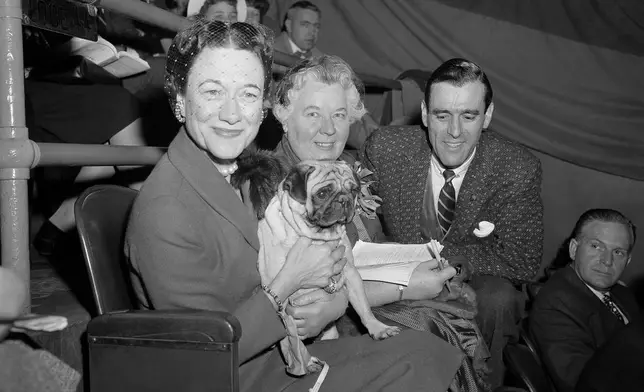 FILE - The Duchess of Windsor, Wallis Simpson, left, holds Ch. Pugville's Golden Victory during judging of the pug class during the Westminster Kennel Club Show at Madison Square Garden in New York, Feb. 13, 1956, as the dog's owner, Arnold Canton, far right, and dog breeder Harriet Smith, look on. (AP Photo/Jacob Harris, File)
