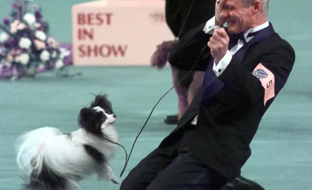 FILE - Kirby, a male Papillon, and his owner John Oulton react after winning best in show at the Westminster Kennel Club 1999 Dog Show at Madison Square Garden in New York Tuesday, Feb. 9, 1999. (AP Photo/Mark Lennihan, File)