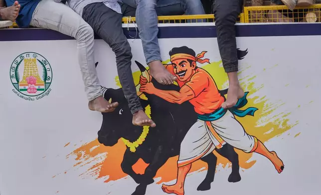 Villagers' feet hang over the side of the area as others compete the Jallikattu bull-taming event at the annual harvest festival called Pongal in Palamedu village on the outskirts of Madurai, India, Friday, Jan. 16, 2026. (AP Photo/Mahesh Kumar A.)