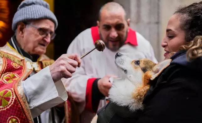 A priest anoints a dog at the San Anton church during the feast of Saint Anthony, Spain's patron saint of animals in Madrid, Spain, Saturday, Jan 17, 2026. (AP Photo/Manu Fernandez)