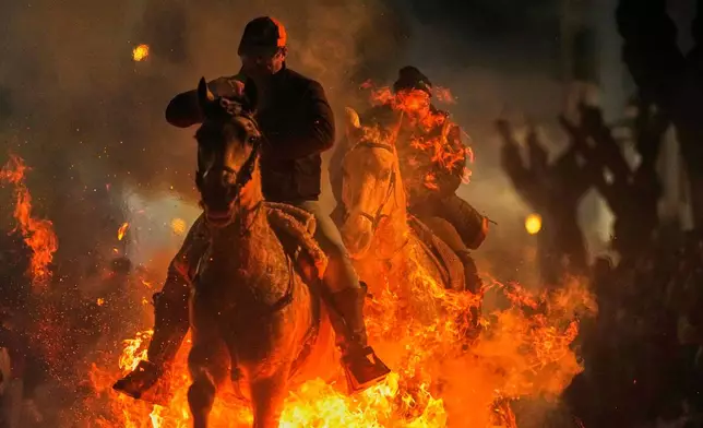 Men ride horses through a bonfire as part of a ritual in honor of Saint Anthony the Abbot, the patron saint of domestic animals, in San Bartolome de Pinares, Spain, Friday, Jan. 16, 2026. (AP Photo/Manu Fernandez)