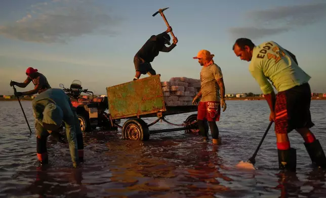 Members of the Sanchez family work at the Salinas de Cumaraguas salt flats on the Paraguana Peninsula, Venezuela, Thursday, Jan. 15, 2026. (AP Photo/Matias Delacroix)