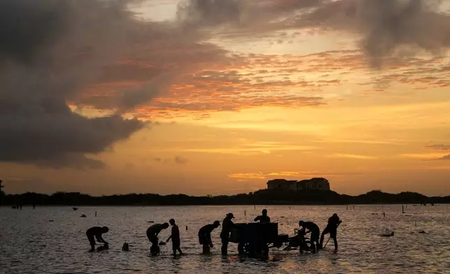 People work at the Salinas de Cumaraguas salt flats on the Paraguana Peninsula, Venezuela, Thursday, Jan. 15, 2026. (AP Photo/Matias Delacroix)