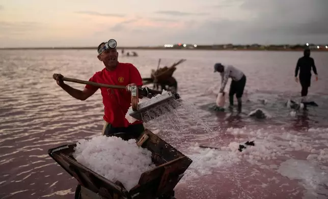 Francklin Fonseca works at the Salinas de Cumaraguas salt flats on the Paraguana Peninsula, Venezuela, Thursday, Jan. 15, 2026. (AP Photo/Matias Delacroix)
