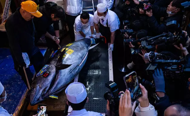 A bluefin tuna that won the highest bid at the annual New Year auction is carried to a Sushi Zanmai restaurant in Tokyo, Monday, Jan. 5, 2026. (AP Photo/Louise Delmotte)