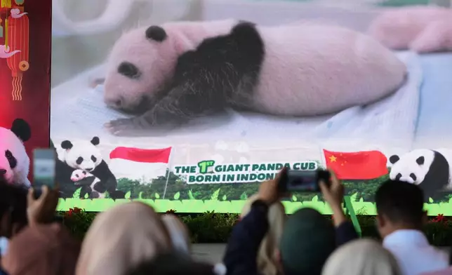 An image of Satrio Wiratama, nicknamed 'Rio', the first giant panda cub born in Indonesia idisplayed on a screen during a press conference at Indonesia Safari Park, in Bogor, West Java, Indonesia, Tuesday, Jan. 6, 2026. (AP Photo/Dita Alangkara)
