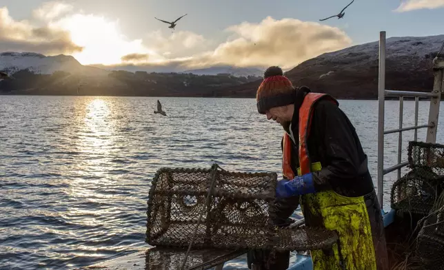 A crew member on Bally Philp's boat puts new bait into the creels before resetting them into the loch off the coast of Kyleakin, Scotland, Nov. 20, 2025. (AP Photo/Emily Whitney)