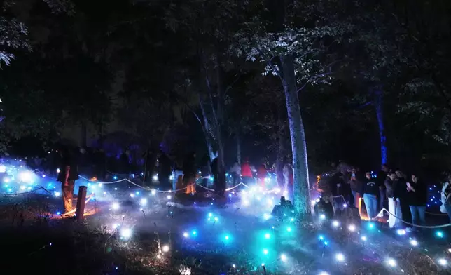 People walk amid decorative illumination at Chapultepec Park in Mexico City, late Saturday, Jan. 3, 2026. (AP Photo/Marco Ugarte)