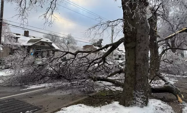 A tree blocks the road days after an ice storm in Nashville, Tenn., on Tuesday, Jan. 27, 2026. (AP Photo/Travis Loller)