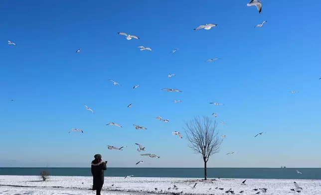 A person stands on a snow-covered ground along Lake Michigan as birds fly overhead at Montrose beach in Chicago, Wednesday, Jan. 28, 2026. (AP Photo/Nam Y. Huh)