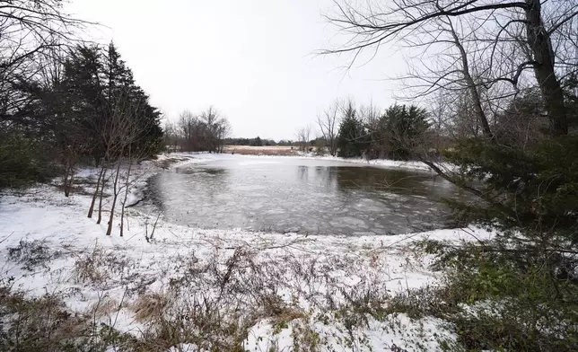 A pond where neighbors say three young boys died after falling into the water is seen Tuesday, Jan. 27, 2026, in Bonham, Texas. (AP Photo/Julio Cortez)