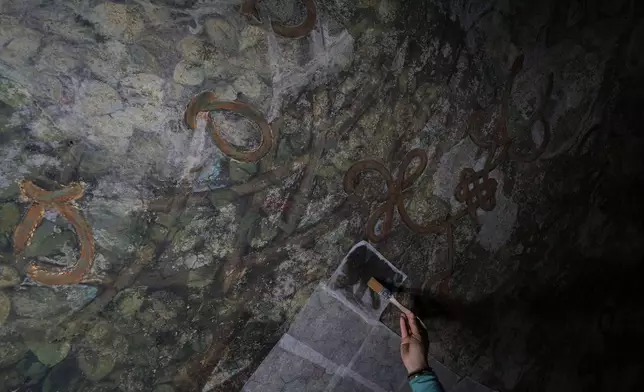 Marina Vece works on restoring the Sala delle Asse, part of the newly created Leonardo da Vinci itineraries inside Milan's Sforza Castle, Italy, Tuesday, Jan. 20, 2026. (AP Photo/Antonio Calanni)