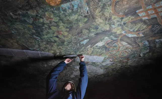 Stefania Negro works on restoring the Sala delle Asse, part of the newly created Leonardo da Vinci itineraries inside Milan's Sforza Castle, Italy, Tuesday, Jan. 20, 2026. (AP Photo/Antonio Calanni)