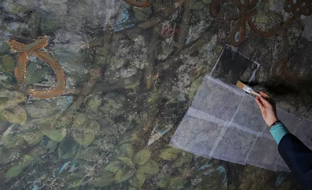 Marina Vece works on restoring the Sala delle Asse, part of the newly created Leonardo da Vinci itineraries inside Milan's Sforza Castle, Italy, Tuesday, Jan. 20, 2026. (AP Photo/Antonio Calanni)