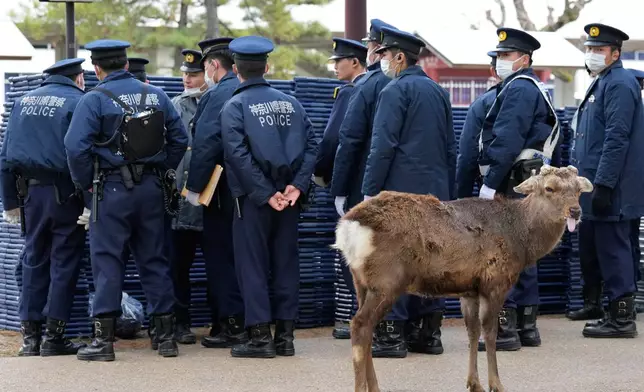 Police officers stand guard as a deer walks by in Nara, western Japan, Wednesday, Jan. 14, 2026. (AP Photo/Eugene Hoshiko)