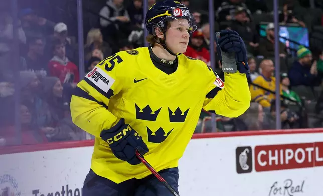 Sweden forward Eddie Genborg celebrates his goal against Finland during the second period of an IIHF World Junior Hockey Championship semifinals game, Sunday, Jan. 4, 2026, in St. Paul, Minn. (AP Photo/Matt Krohn)