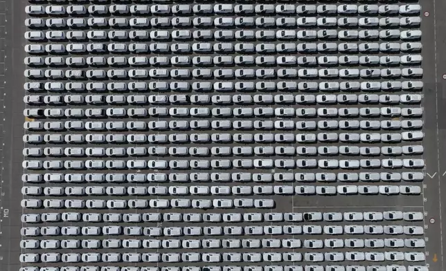 BYD hybrid and electric vehicles shipped from China are parked at Terminal Zarate in Argentina's Buenos Aires province, Tuesday, Jan. 20, 2026. (AP Photo/Victor R. Caivano)