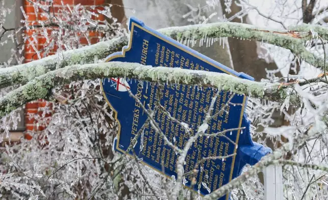 In this image provided by the City of Oxford, Miss., snow and ice cover trees as a winter storm passes through, Sunday, Jan. 25, 2026, in Oxford, Miss. (Josh McCoy/City of Oxford, Miss. via AP)