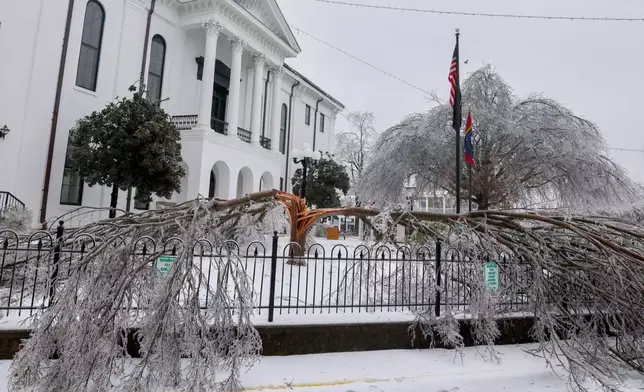 In this image provided by the City of Oxford, Miss., snow and ice cover trees as a winter storm passes through, Sunday, Jan. 25, 2026, in Oxford, Miss. (Josh McCoy/City of Oxford, Miss. via AP)