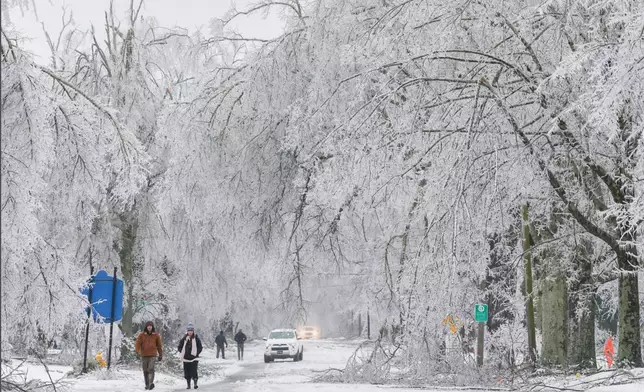 In this image provided by the City of Oxford, Miss., snow and ice cover trees and streets as a winter storm passes through, Sunday, Jan. 25, 2026, in Oxford, Miss. (Josh McCoy/City of Oxford, Miss. via AP)