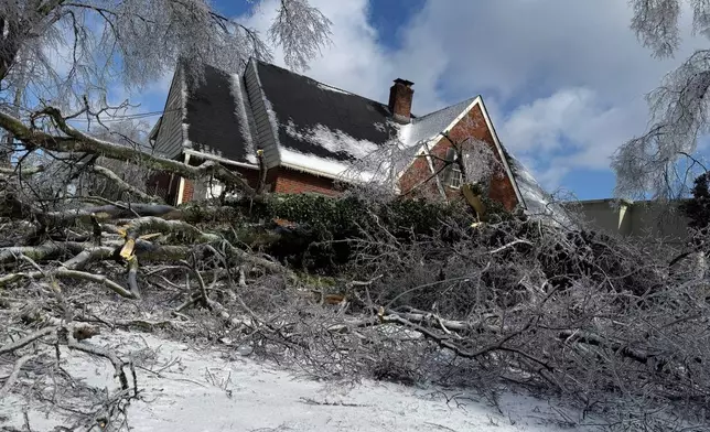 A tree downed by ice rests in a front yard just feet from a house in Nashville, Tenn., Monday, Jan. 26, 2026. (AP Photo/Travis Loller)