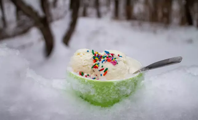 A dish of snow cream, made by mixing sweetened condensed milk with fresh snow, is seen Tuesday, Jan. 27, 2026, in Bow, N.H. (AP Photo/Holly Ramer)