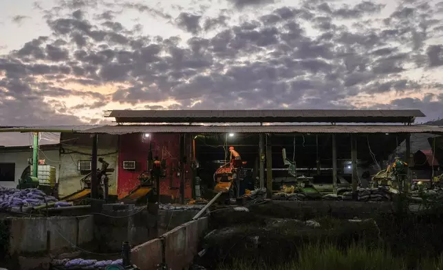 A worker operates machinery to crush rock at a mill in the gold mining area of El Callao, Venezuela, Thursday, Jan. 22, 2026. (AP Photo/Matias Delacroix)
