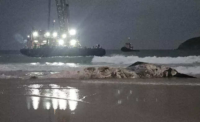 Whale carcass found in Ham Tin Wan  Source: HKSAR Government Press Releases