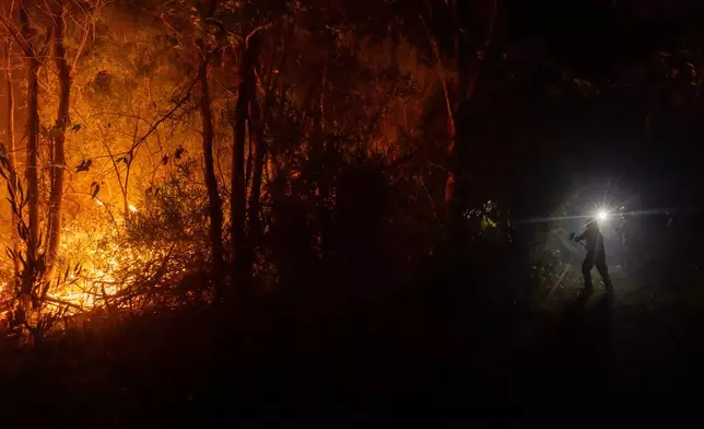 FILE - Firefighters battle a wildfire spreading through a forested area near Concepcion, Chile, Tuesday, Jan. 20, 2026. (AP Photo/Javier Torres, File)