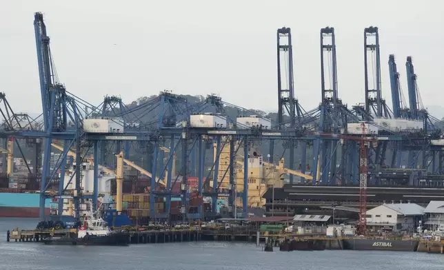 FILE -Cranes load a cargo ship at the Panama Canal's Port of Balboa, managed by CK Hutchison Holdings, in Panama City, March 13, 2025. (AP Photo/Matias Delacroix, File)
