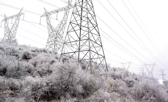 Power lines and shrubs are covered in ice during a winter storm Sunday, Jan. 25, 2026, in Nashville, Tenn. (AP Photo/George Walker IV)