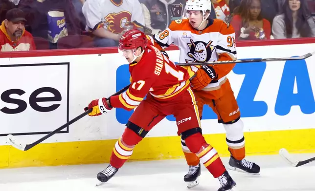 Anaheim Ducks' Pavel Mintyukov (98) and Calgary Flames' Yegor Sharangovich, left, vie for control of the puck during first-period NHL hockey game action in Calgary, Alberta, Sunday, Jan. 25, 2026. (Larry MacDougal/The Canadian Press via AP)