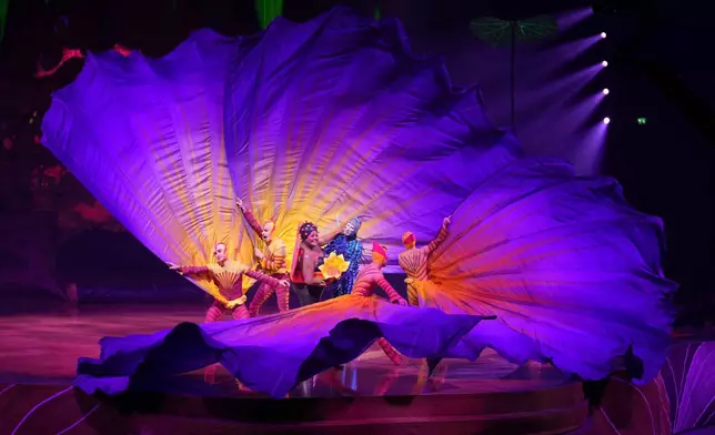 Acrobats from Cirque du Soleil rehearse for the show entitled 'Ovo' at The Royal Albert Hall, in London, Thursday, Jan. 8, 2026. (AP Photo/Kin Cheung)