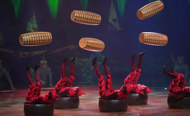 Acrobats from Cirque du Soleil rehearse for the show entitled 'Ovo' at The Royal Albert Hall, in London, Thursday, Jan. 8, 2026. (AP Photo/Kin Cheung)