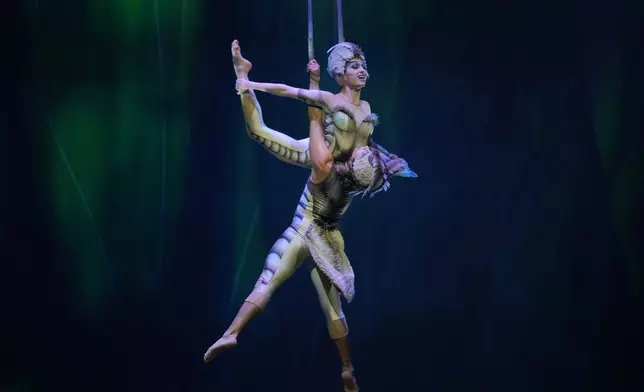 Acrobats from Cirque du Soleil rehearse for the show entitled 'Ovo' at The Royal Albert Hall, in London, Thursday, Jan. 8, 2026. (AP Photo/Kin Cheung)