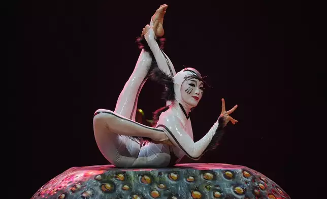 Acrobats from Cirque du Soleil rehearse for the show entitled 'Ovo' at The Royal Albert Hall, in London, Thursday, Jan. 8, 2026. (AP Photo/Kin Cheung)