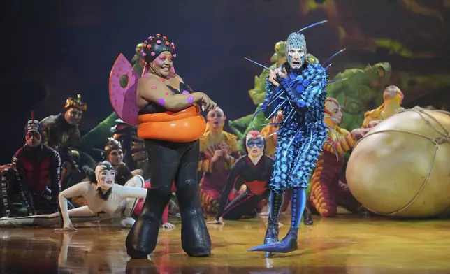 Acrobats from Cirque du Soleil rehearse for the show entitled 'Ovo' at The Royal Albert Hall, in London, Thursday, Jan. 8, 2026. (AP Photo/Kin Cheung)